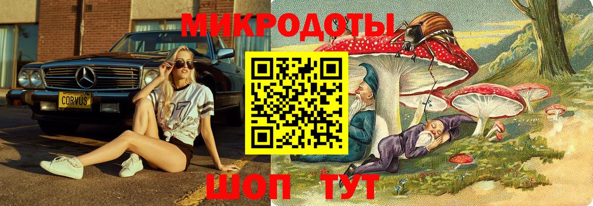 Кизляр  Галлюциногенные грибы мицелий  наркотики  Вход с VPN 