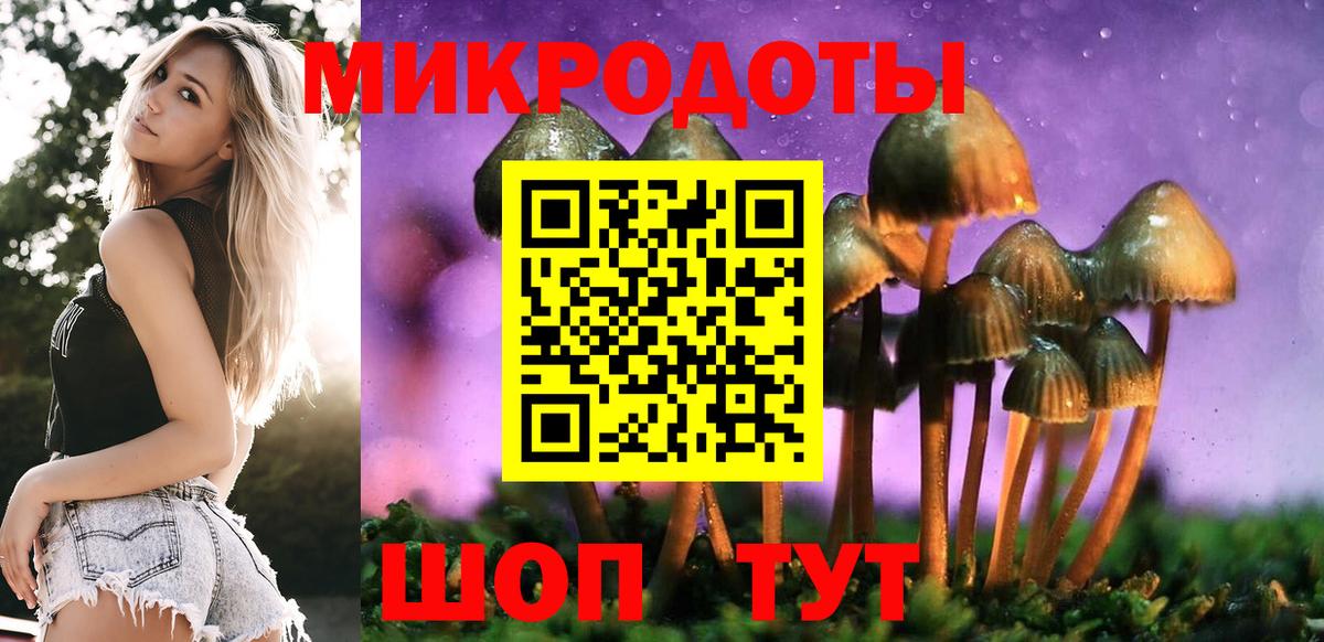 Псилоцибиновые грибы Magic Shrooms Кизляр